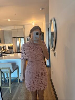 T.J.Maxx Dusty Rose Lace Mini Dress
